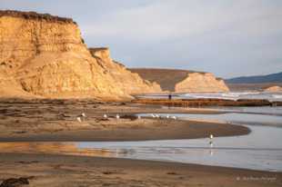 Drakes Bay-9822.jpg